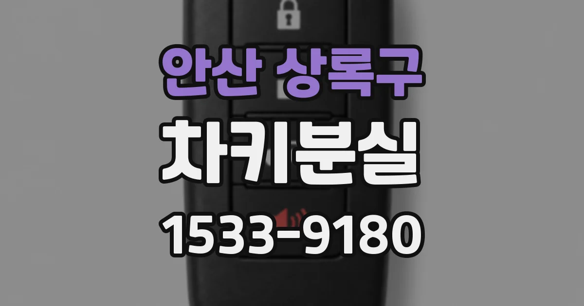 안산 상록구 차키분실