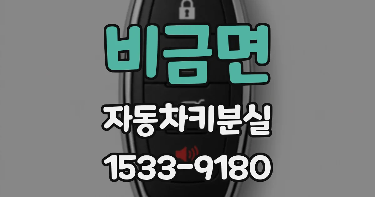 비금면 자동차키분실