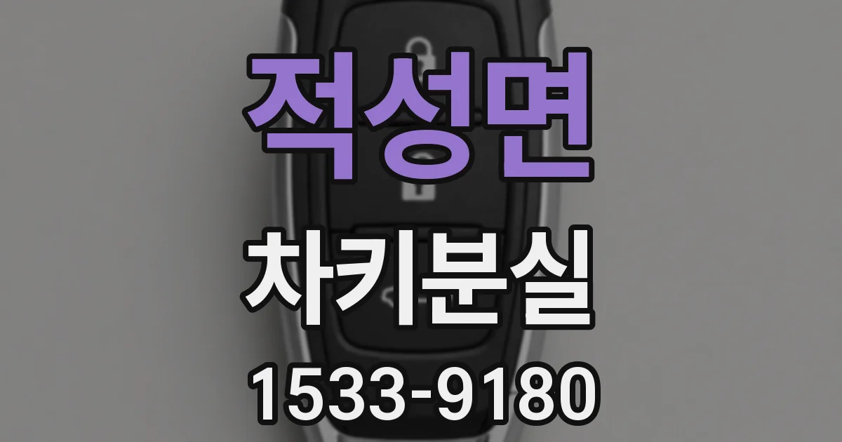 적성면 차키분실