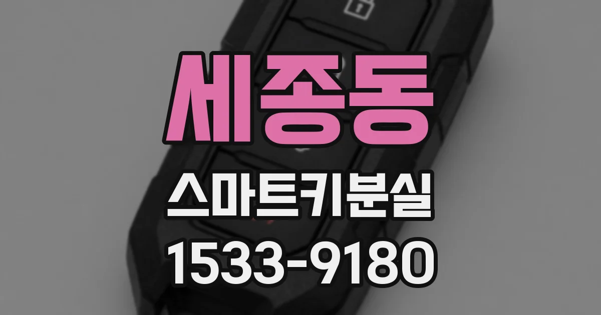 세종동 스마트키분실