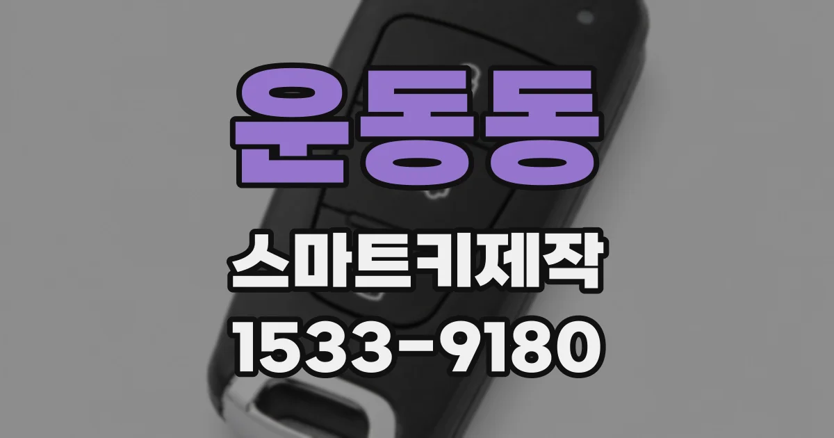 운동동 스마트키제작