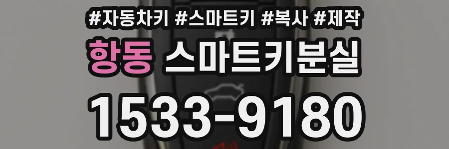 항동 스마트키분실
