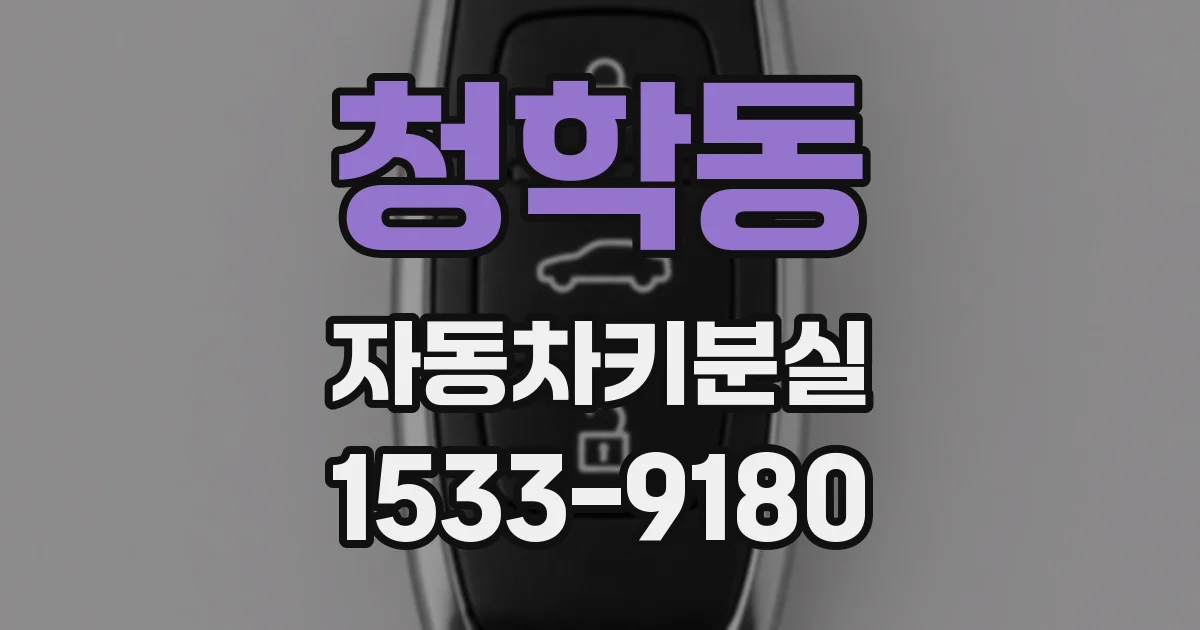 청학동 자동차키분실