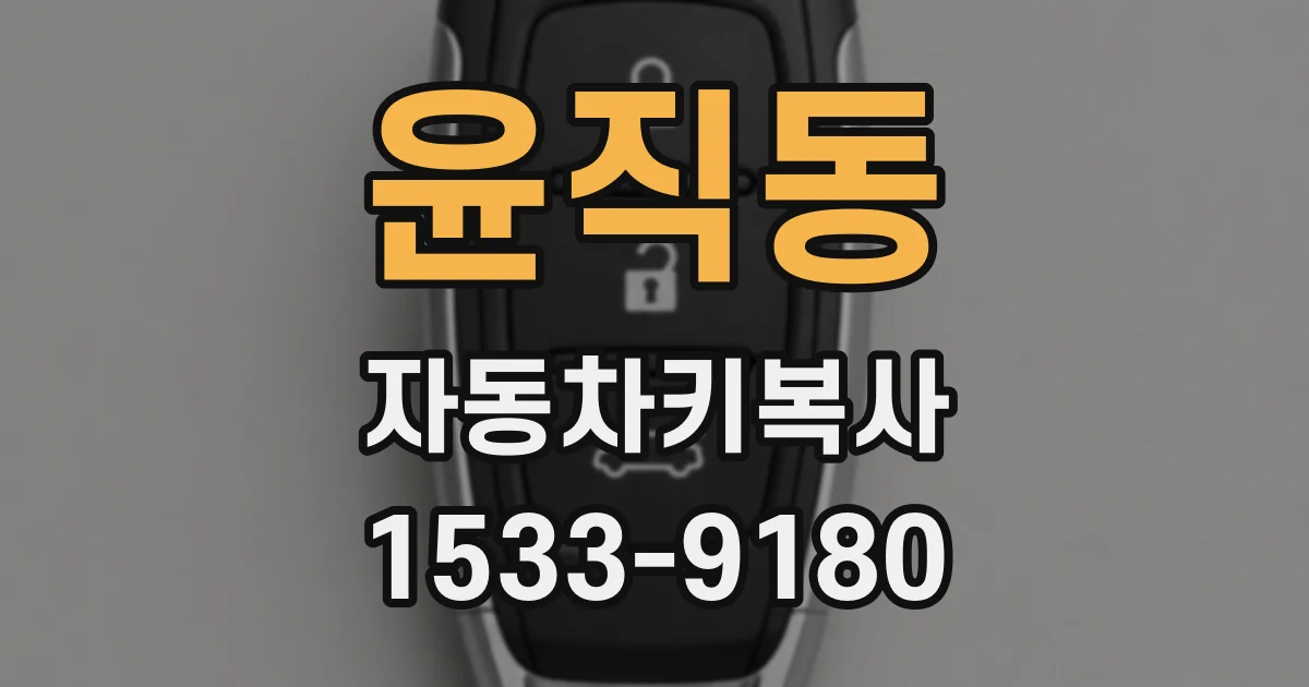 윤직동 자동차키복사