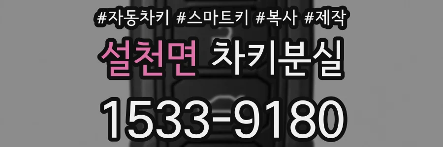 설천면 차키분실