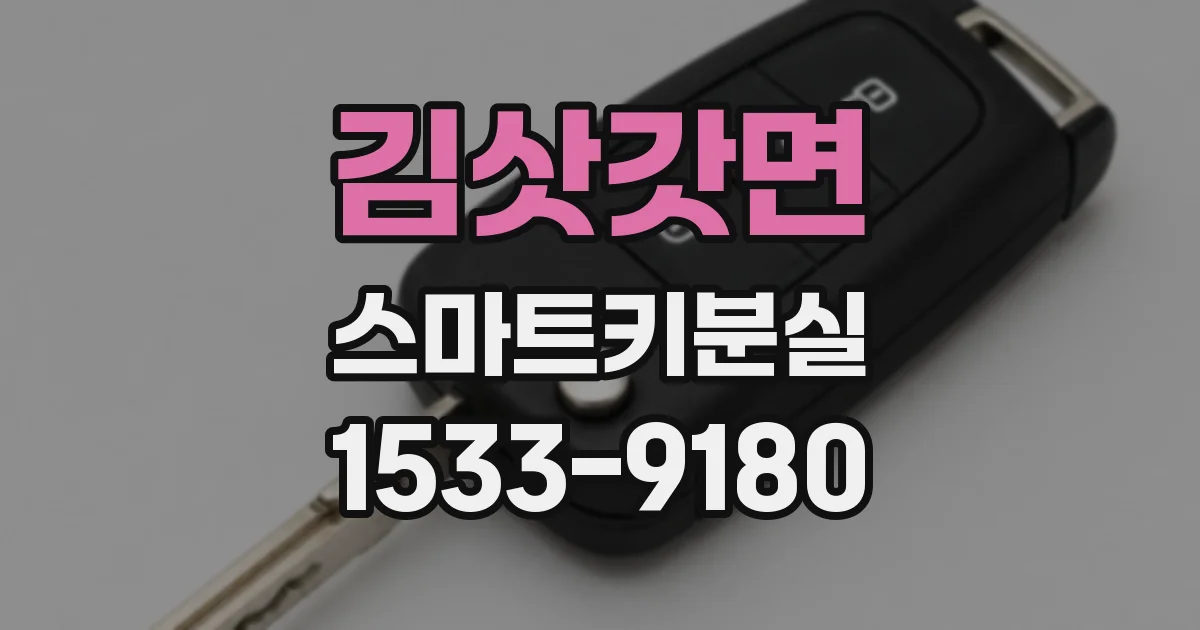 김삿갓면 스마트키분실