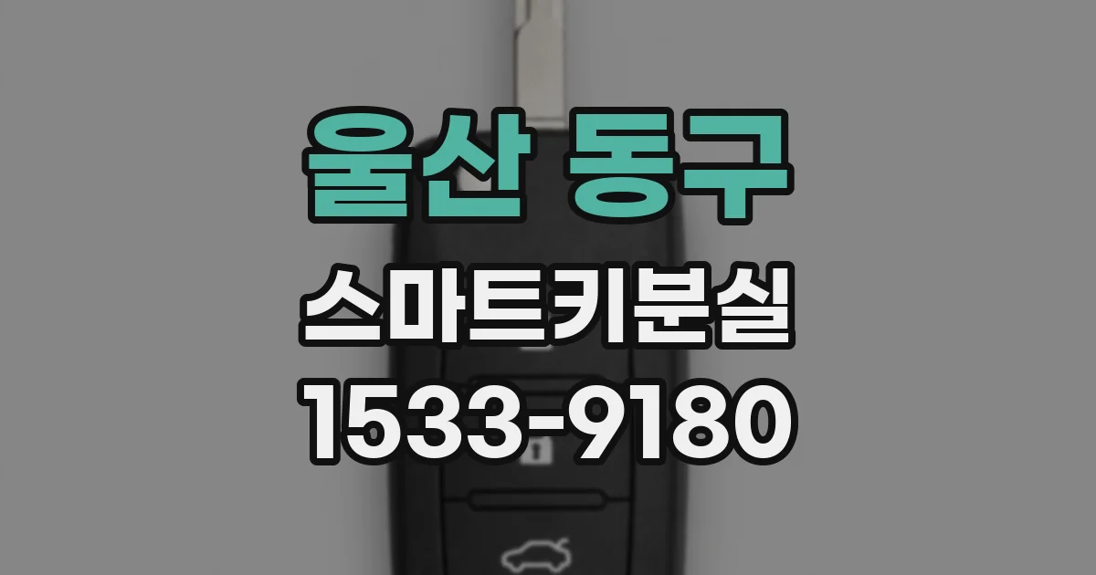 울산 동구 스마트키분실