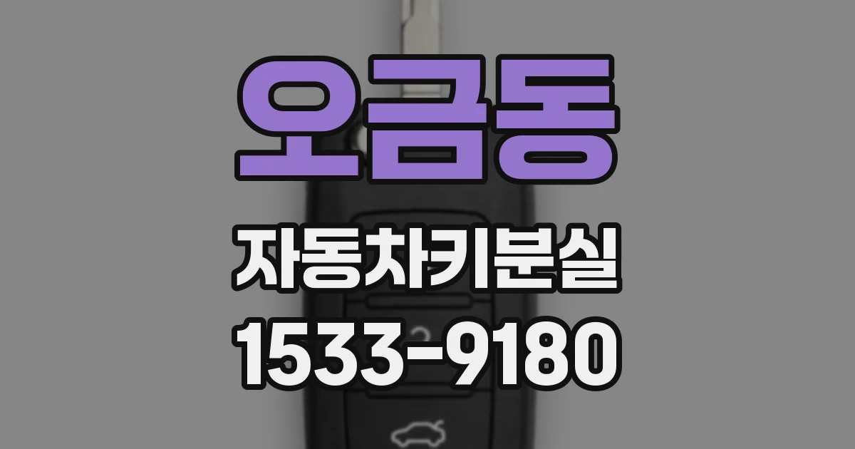 오금동 자동차키분실