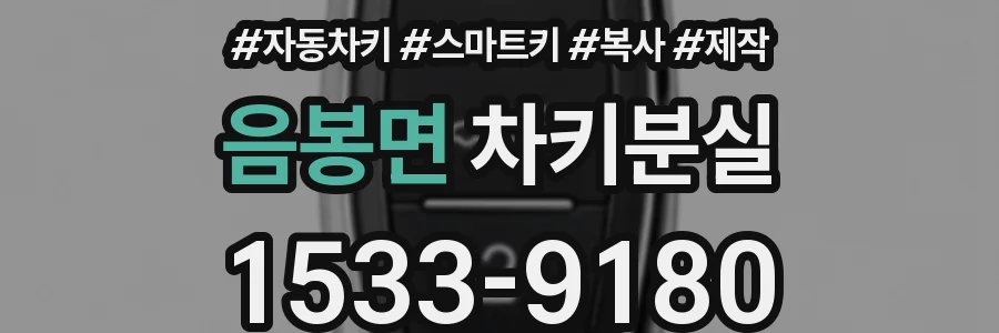 음봉면 차키분실
