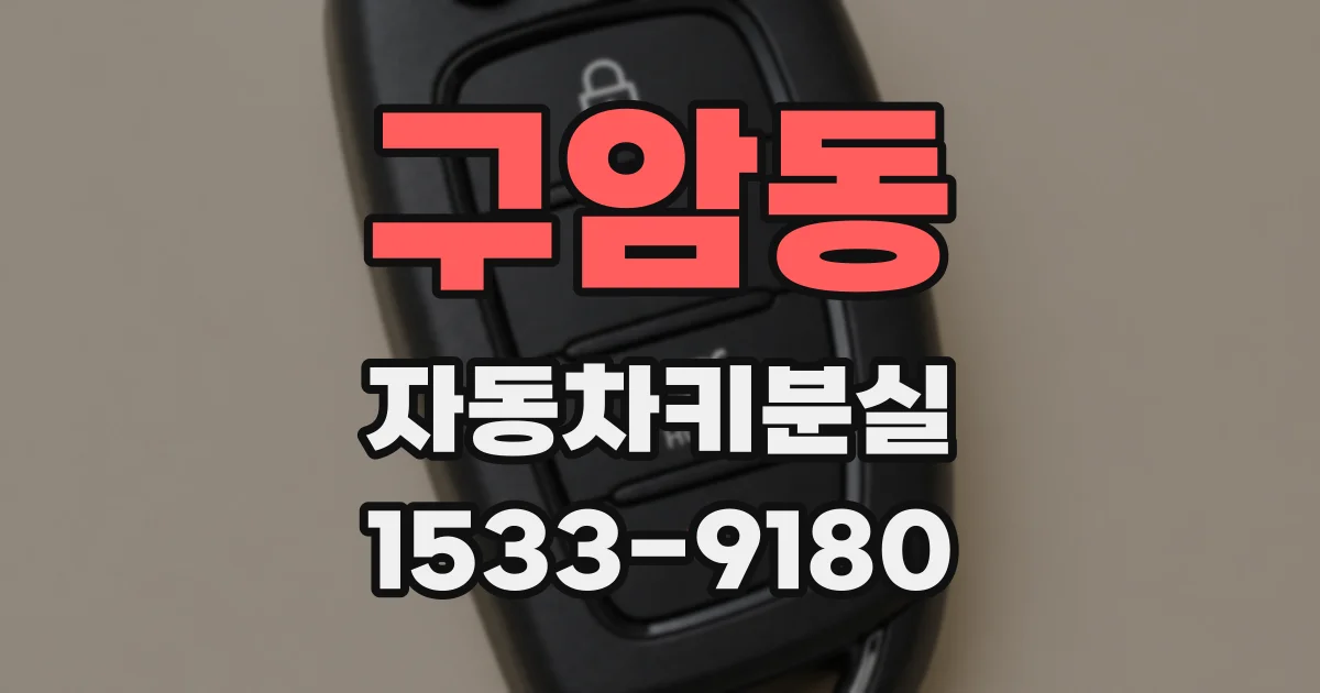 구암동 자동차키분실