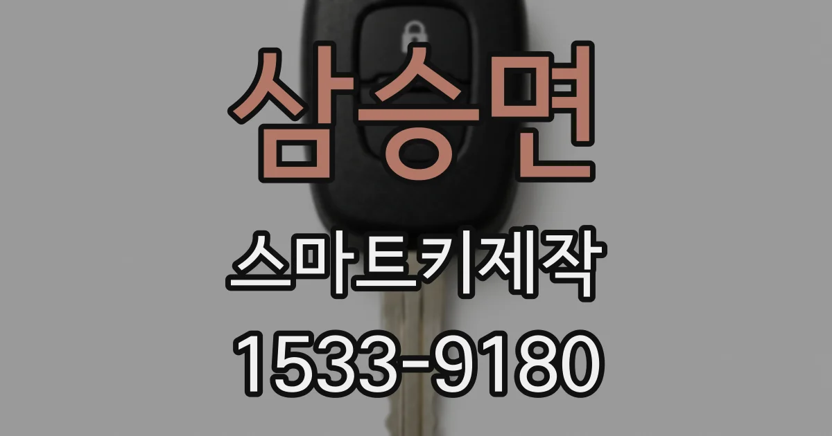 삼승면 스마트키제작