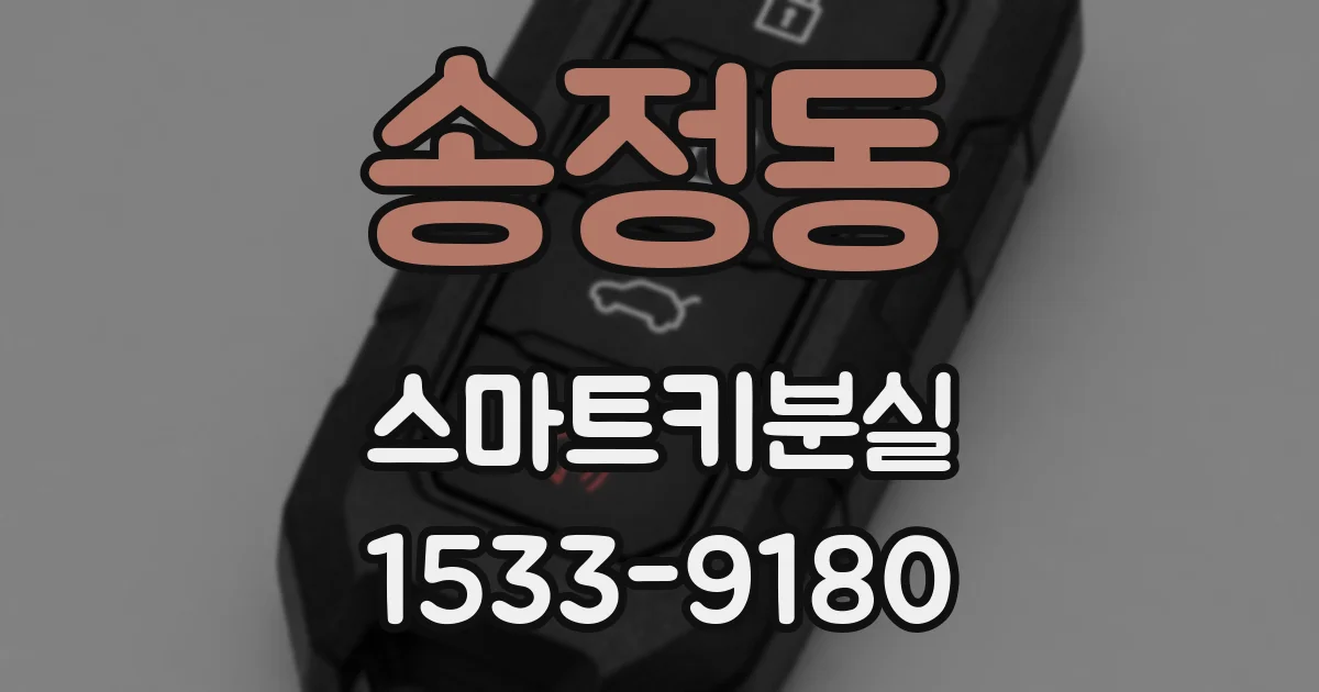 송정동 스마트키분실