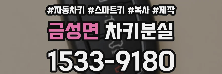 금성면 차키분실