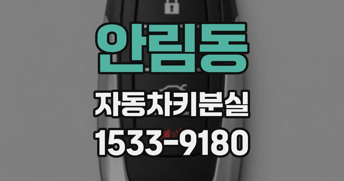 안림동 자동차키분실