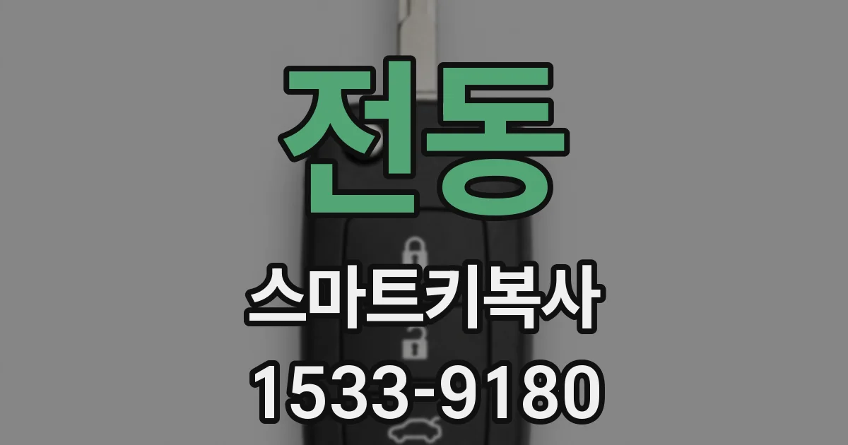 전동 스마트키복사
