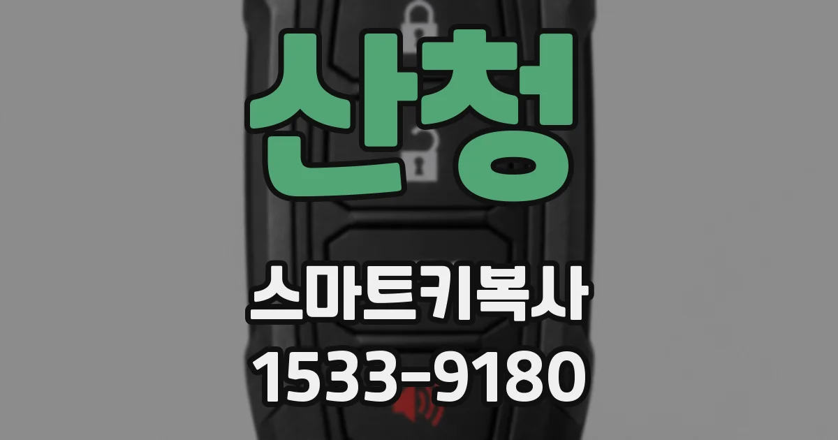 산청 스마트키복사