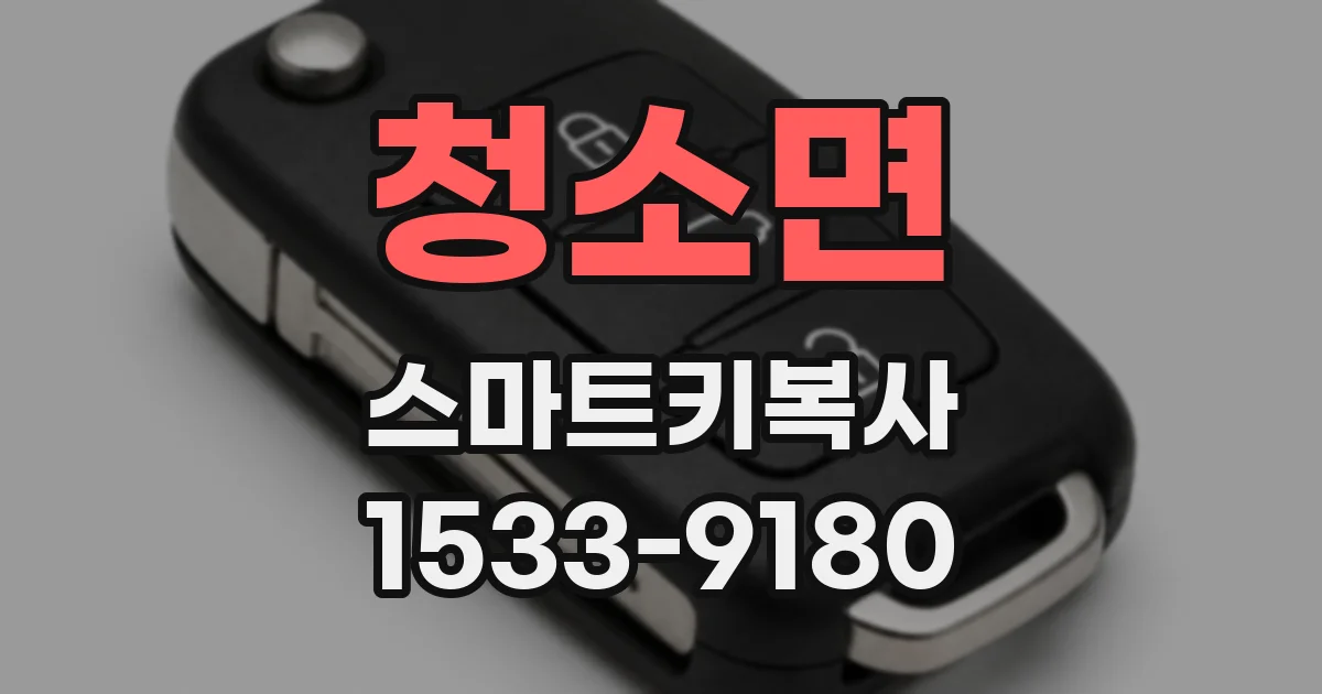 청소면 스마트키복사