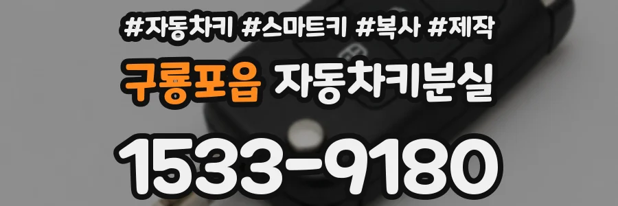 구룡포읍 자동차키분실