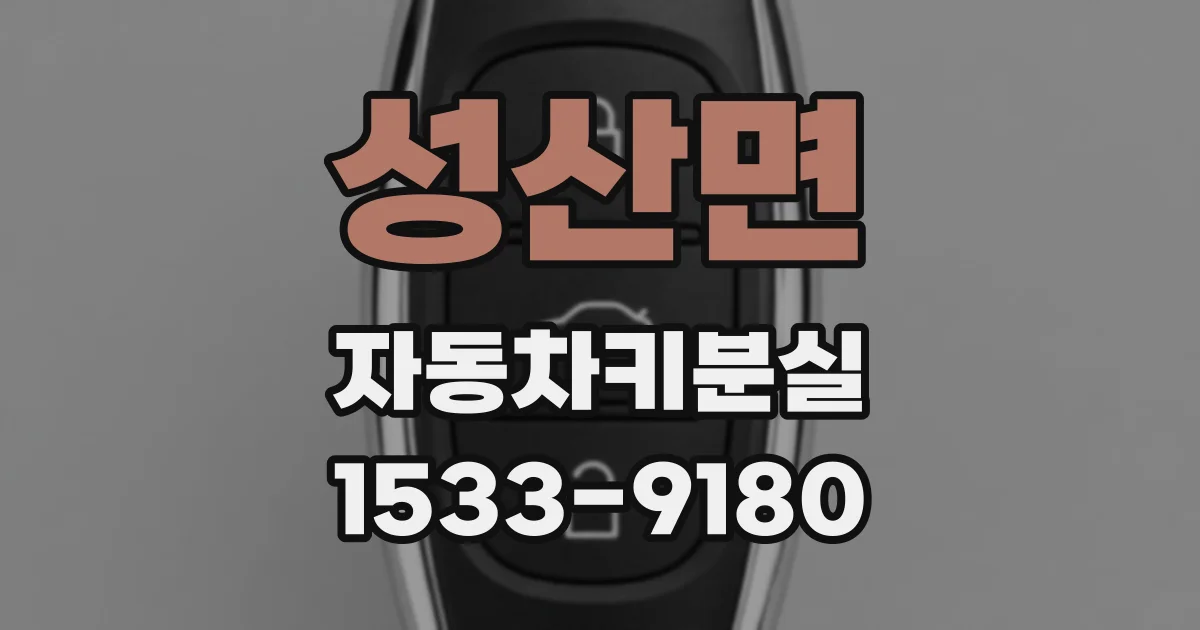 성산면 자동차키분실