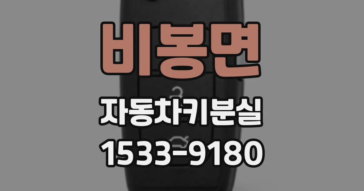 비봉면 자동차키분실