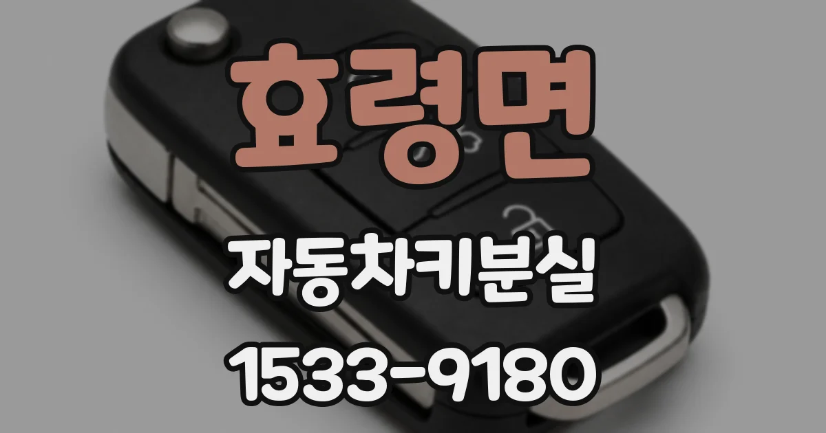효령면 자동차키분실