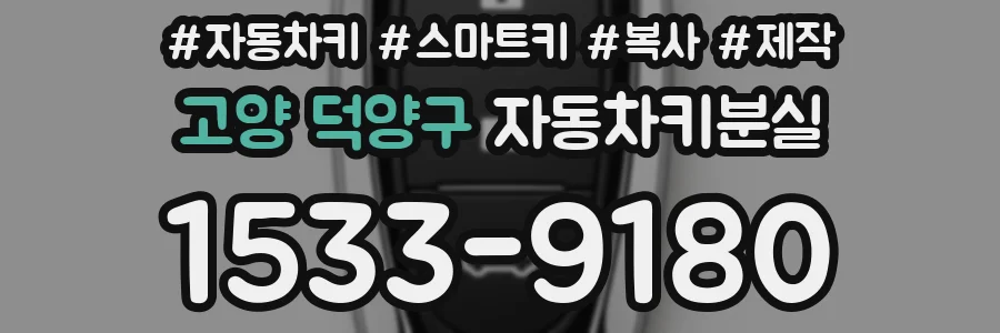 고양 덕양구 자동차키분실