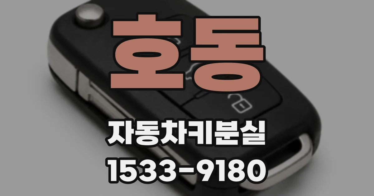 호동 자동차키분실