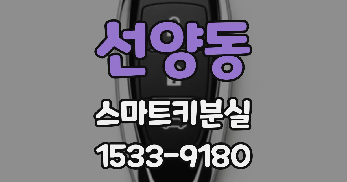 선양동 스마트키분실