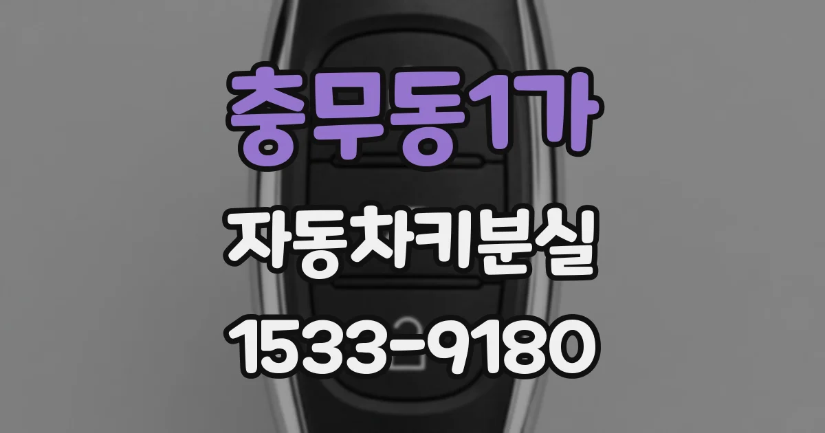 충무동1가 자동차키분실