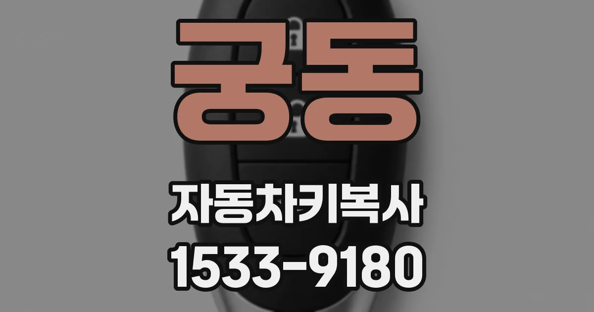 궁동 자동차키복사