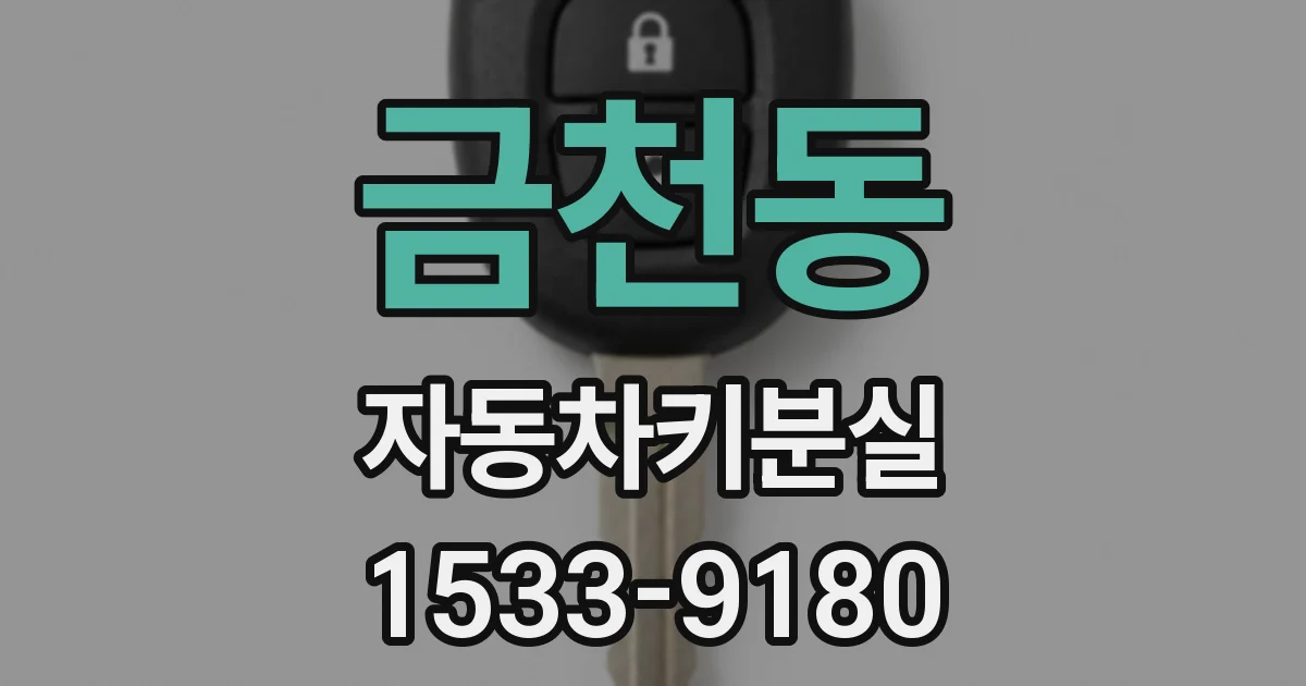 금천동 자동차키분실