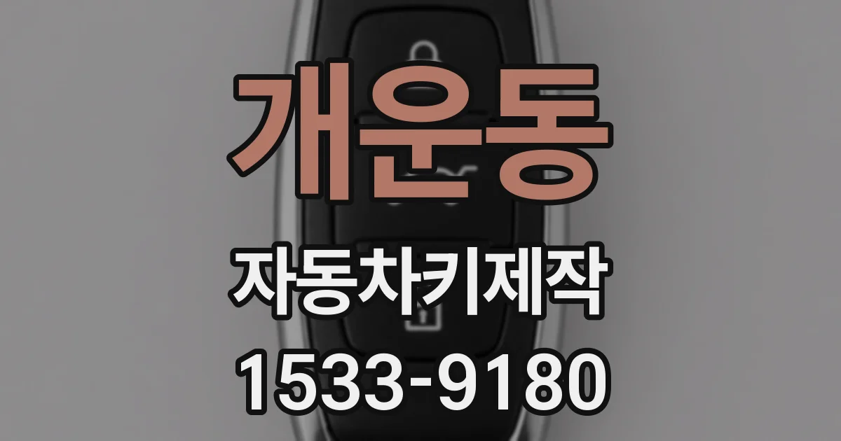 개운동 자동차키제작