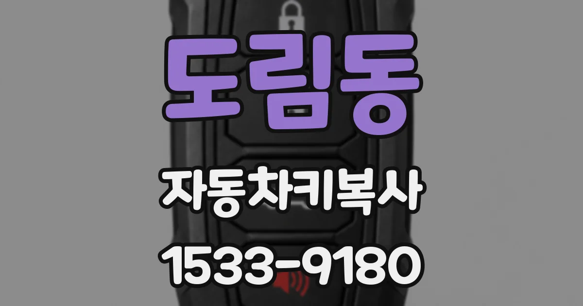 도림동 자동차키복사