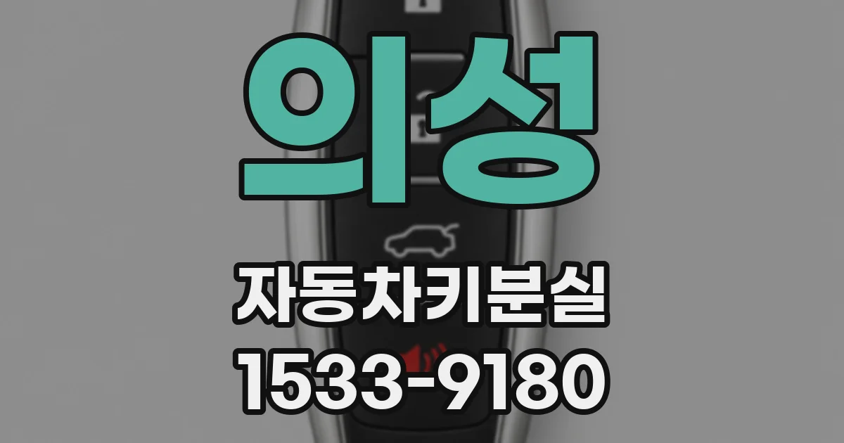 의성 자동차키분실