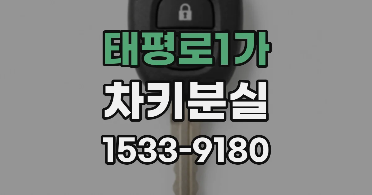 태평로1가 차키분실