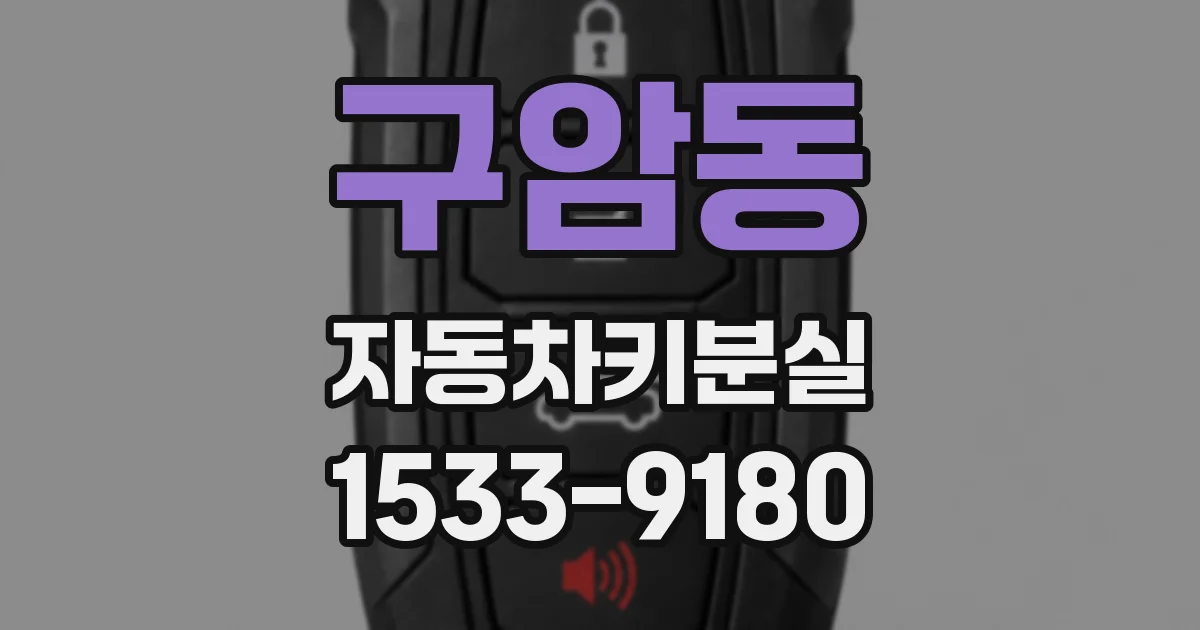 구암동 자동차키분실