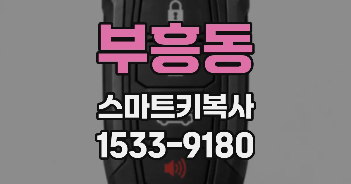 부흥동 스마트키복사