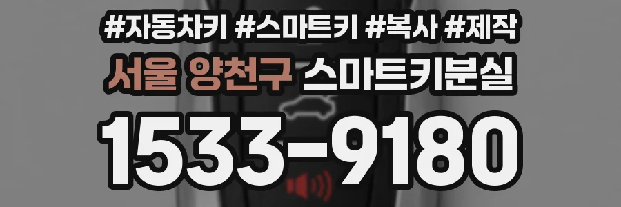 서울 양천구 스마트키분실