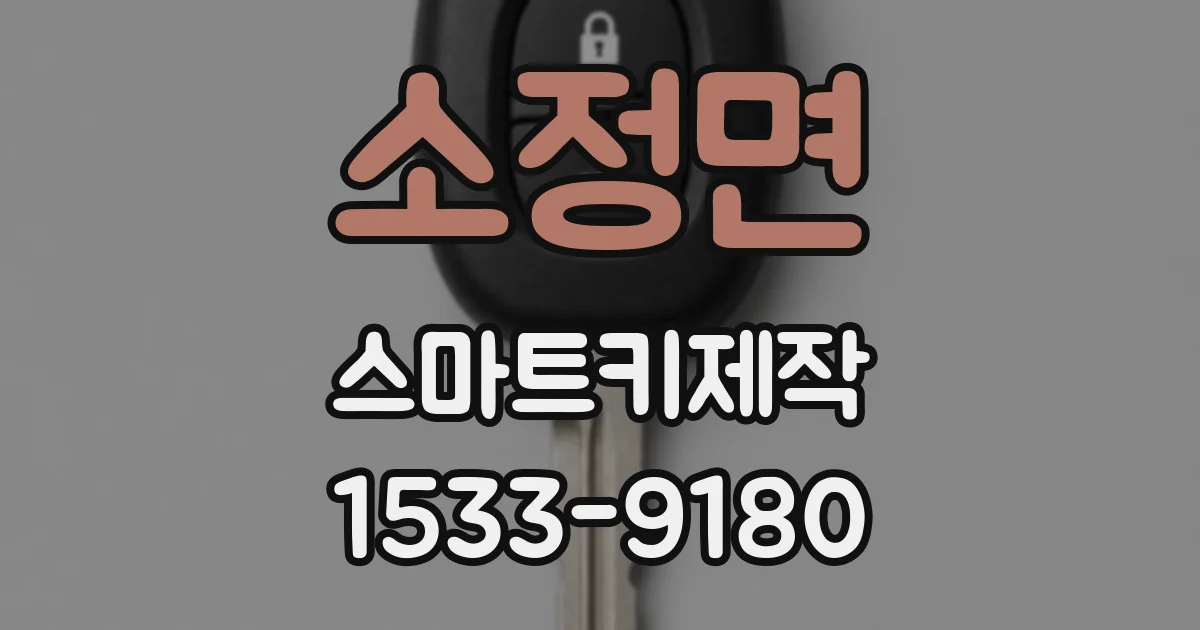 소정면 스마트키제작