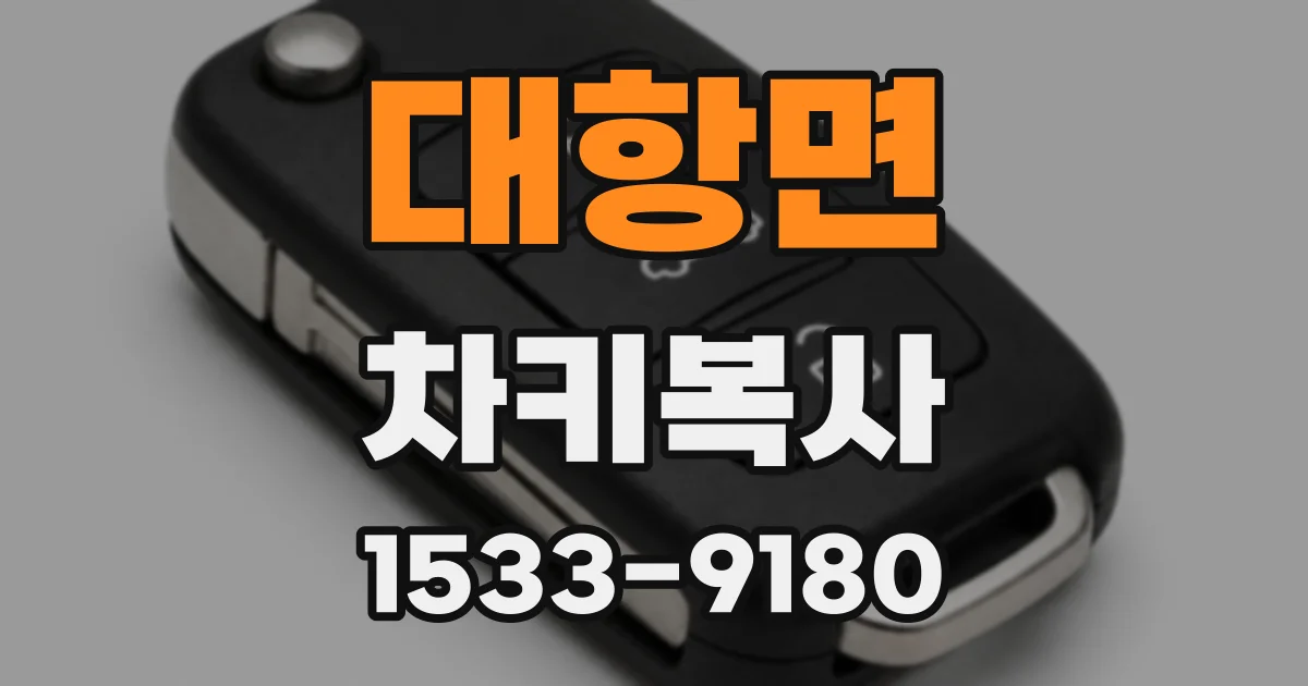 대항면 차키복사