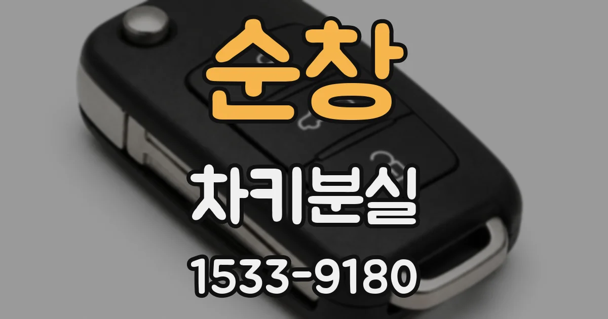 순창 차키분실