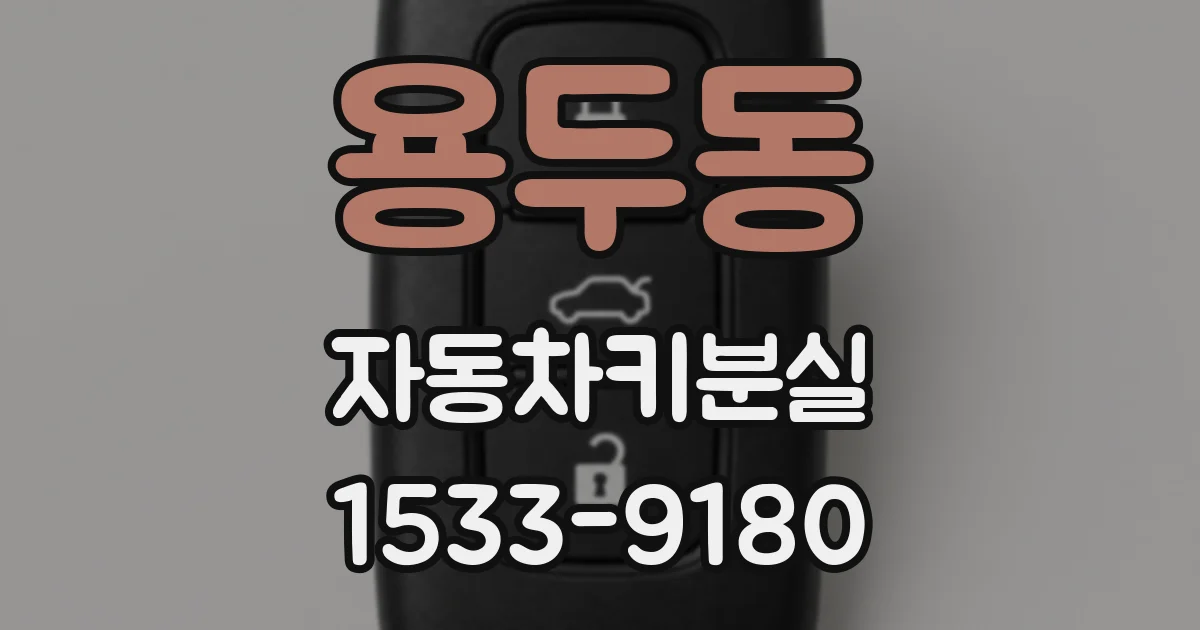 용두동 자동차키분실