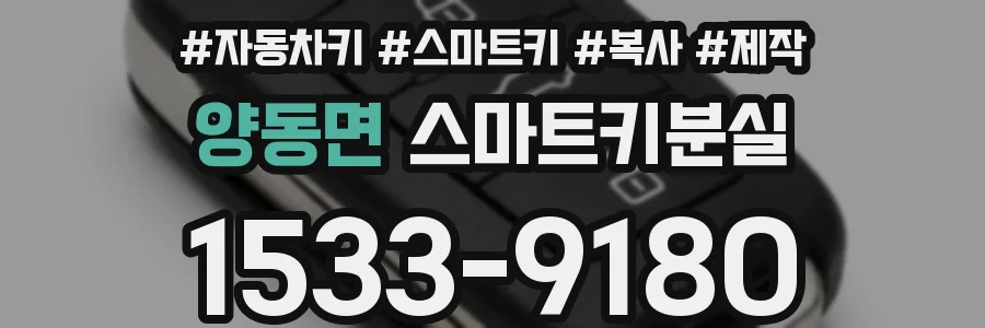 양동면 스마트키분실