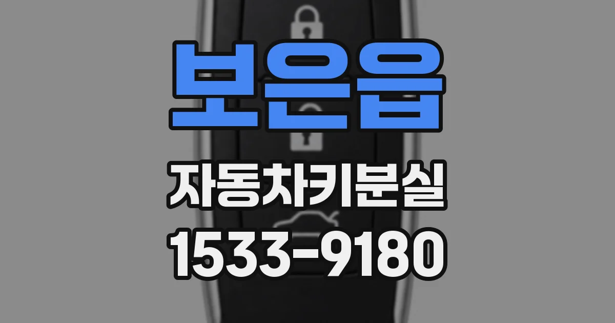 보은읍 자동차키분실