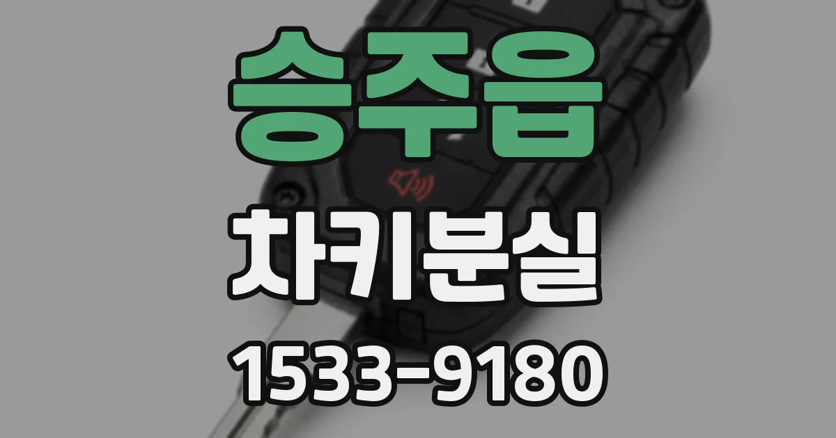 승주읍 차키분실