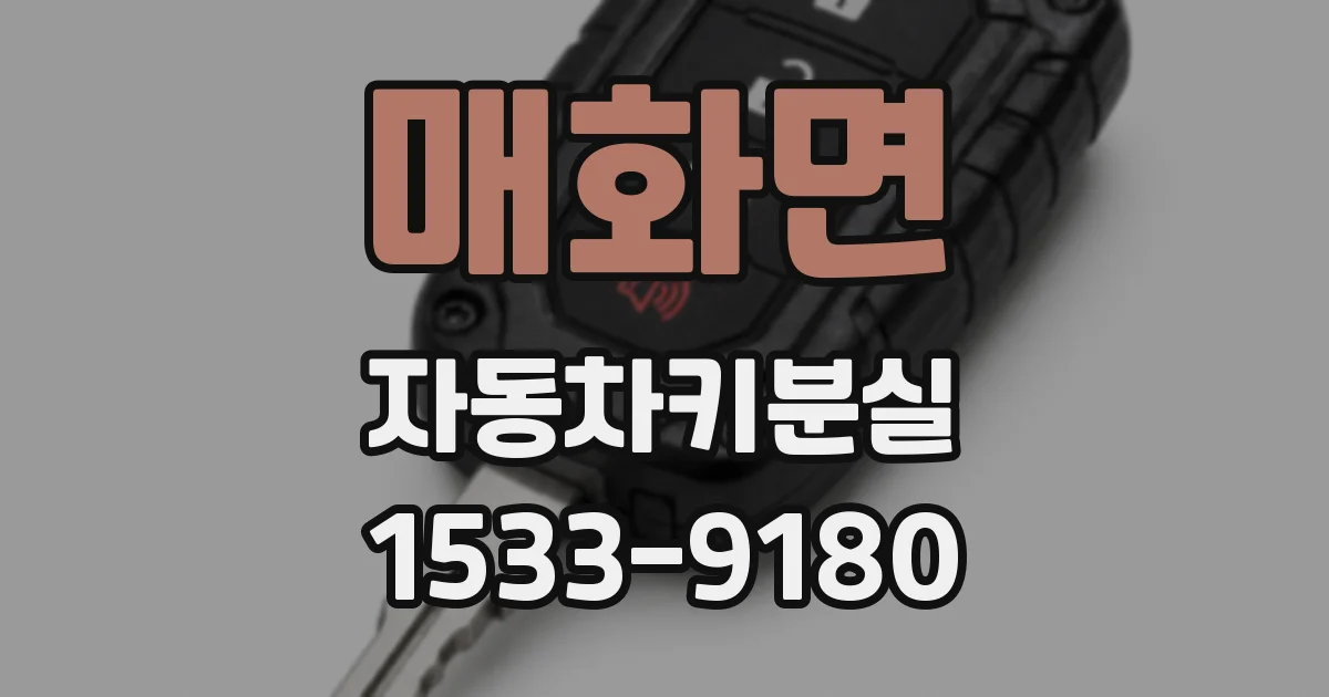매화면 자동차키분실