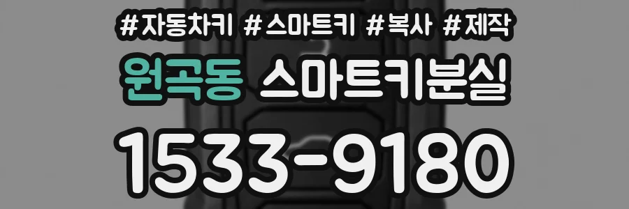 원곡동 스마트키분실