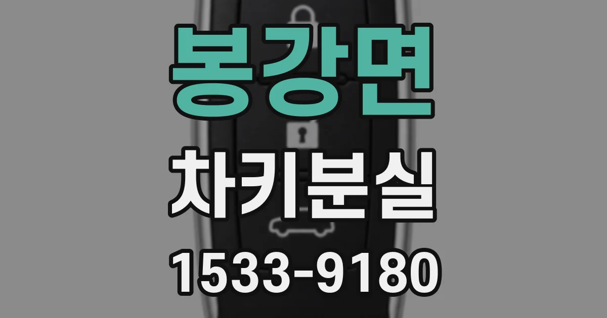 봉강면 차키분실