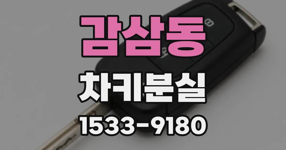 감삼동 차키분실