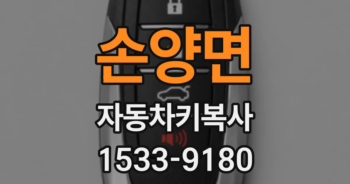 손양면 자동차키복사
